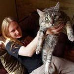 Фотография исполнителя